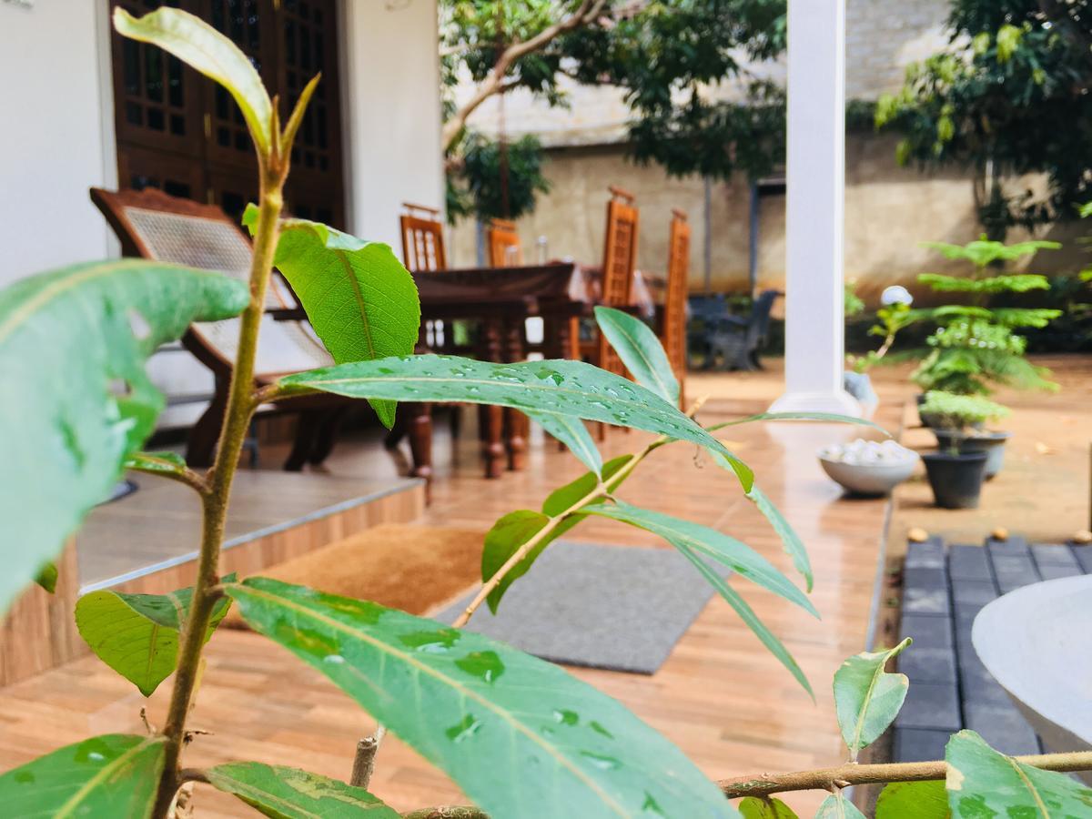 Perfect Hideout Dambulla Exterior foto
